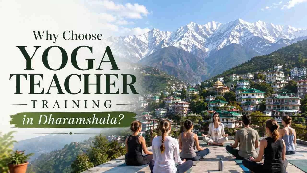 What Makes Yoga Teacher Training in Dharamshala a Unique Learning Experience?