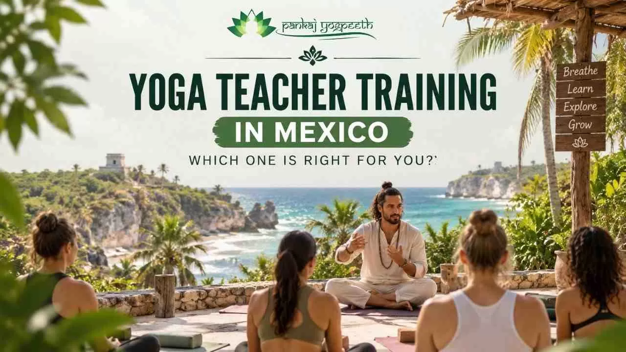 Yoga Teacher Training in Mexico: Which Course and Destination Are Right for You?