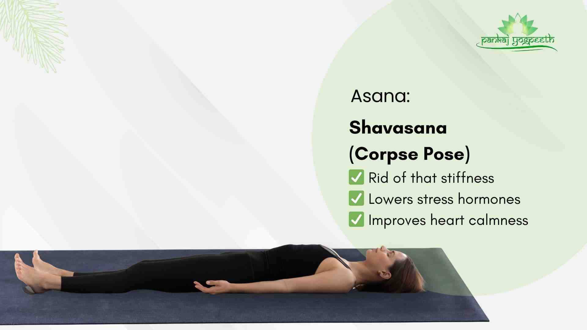 eggs collected  (56).jpg