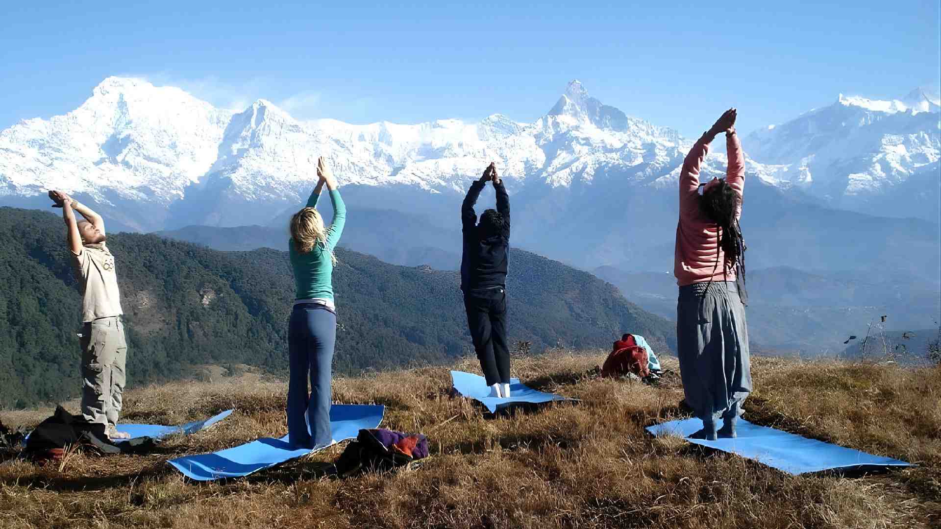 Hatha Yoga Teacher Training Course  - Pankajyogpeeth (1).jpg