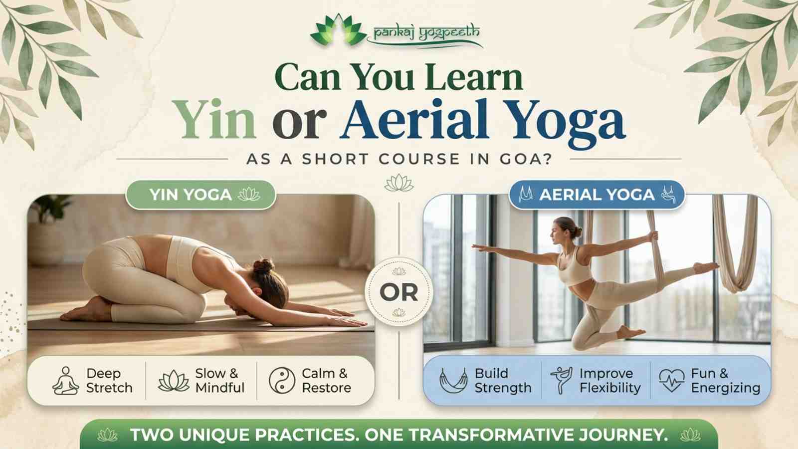 Can you learn Yin or Aerial yoga as a short course in Goa-Pankaj yogpeeth.jpg
